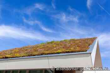 Zuschuss für Dachbegrünung - Attendorner Geschichten
