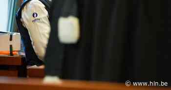 Werkstraffen voor twintigers die met loodjesgeweer schoten op man aan bushalte - Het Laatste Nieuws