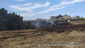 Ardea: vasto incendio in Via del Quartaccio, fiamme minacciano alcune abitazioni - Il Corriere della Città