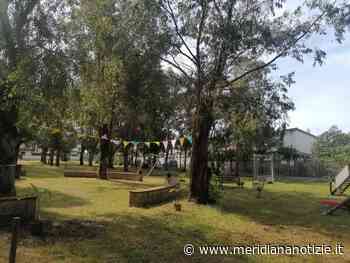 ARDEA, GIORNATA DI PRESENTAZIONE DELL'AIPD E SENSIBILIZZAZIONE SULLA SINDROME DI DOWN - MeridianaNotizie