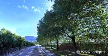 "La ciclabile Povo-Villazzano si può fare senza abbattere alberi: è sufficiente restringere la carreggiata per le auto" - l'Adige