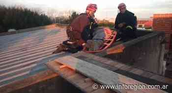 Lomas de Zamora: Los bomberos rescataron a una mujer que intentaba suicidarse - InfoRegión