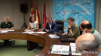 La madera de monte público quemado en los incendios de Zamora reportará 30 millones - La Opinión de Zamora