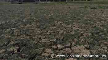 Zamora atraviesa la peor sequía en 61 años y el agua ya escasea en los pueblos - La Opinión de Zamora