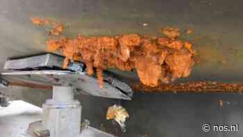 Onderzoek naar ijzeretende bacterie in Kanaal van Gent naar Terneuzen - NOS