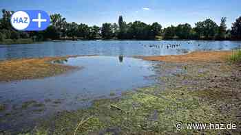 Lehrte: Trockenheit lässt Wasserpegel in Hohnhorstsee und Aue sinken - HAZ