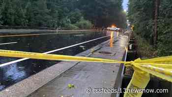 Tree falls on moving car in Williamsburg, kills man