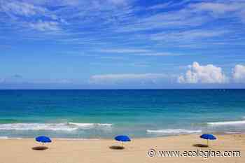 Dalla crema solare alla dieta, le 5 regole d’oro per una tintarella perfetta - Ecologiae.com