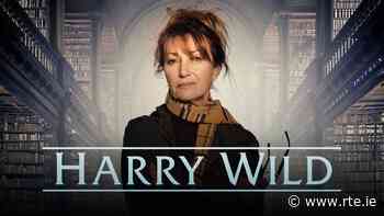 Green light for new series of Dublin mystery Harry Wild - RTE.ie