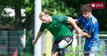 Großer Aderlass: Spielvereinigung Lindau steht vor schwieriger Saison - Schwäbische
