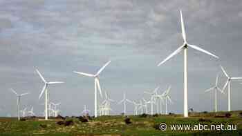 Is the answer to high electricity prices blowing in the wind?