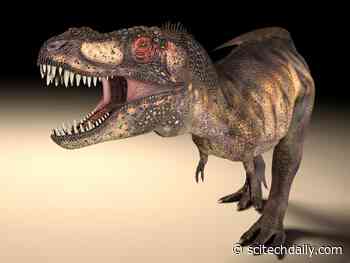 Large Dinosaur Predators – Such As T. rex – Evolved Different Eye Socket Shapes To Allow Stronger Bites