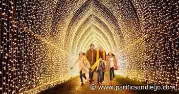 San Diego Botanic Garden to host international Lightscape exhibition - pacificsandiego.com