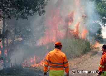 Campagna antincendio, emanata ordinanza del comune di Nettuno - InLiberaUscita.it