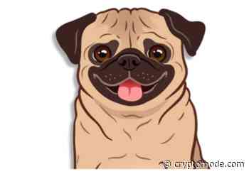 Bitcoin (BTC), TRON (TRX), And Pugglit Inu (PUGT) Might Be Your Way Out Of The Bear Market - Crypto Mode