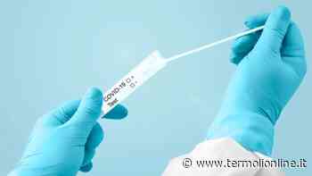 Termoli, Isernia, Campobasso: Covid: nel Molise 163 contagi e 30 guariti - Termoli Online