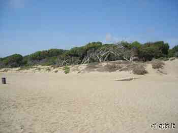 Agrigento, partiti i lavori di bonifica del boschetto di San Leone - Quotidiano di Sicilia