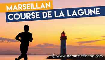 Marseillan : la ville recherche des bénévoles pour la Course de la lagune - Hérault Tribune