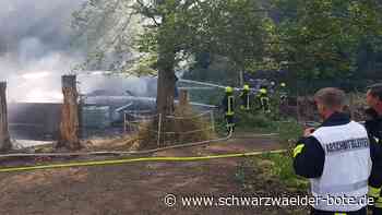 Feuerwehreinsatz bei Sulz - Stallgebäude geht in Flammen auf - Schwarzwälder Bote
