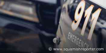 Man arrested for indecent exposure at Lynn Canyon Park - The Squamish Reporter