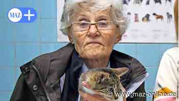 Rathenow: Großzügiges Erbe fürs Tierheim – was aus dem Geld wurde - Märkische Allgemeine Zeitung