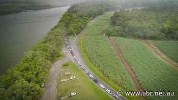 A new ferry will soon take more visitors into the Daintree. But how many can it handle?