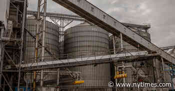 U.N. Ship to Carry Ukrainian grain Directly to Horn of Africa