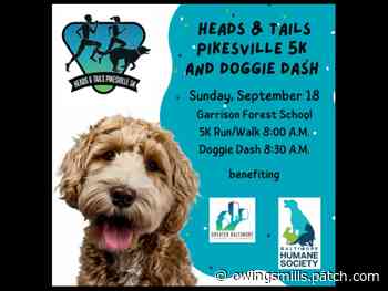 HEADS & TAILS 5K & DOGGIE DASH - Patch