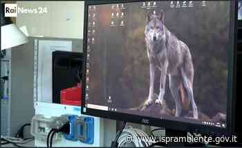 A Futuro24 alcune attività dell'ISPRA — Italiano - Ispra