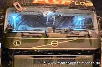 Ermittlung gegen Steinewerfer in Neckarstadt-West: Polizei sucht Hinweise - Mannheim - Nachrichten und Informationen - Mannheimer Morgen