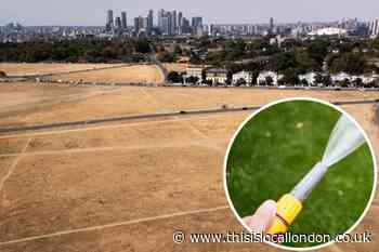 Thames Water reveals how it will tackle dry weather conditions