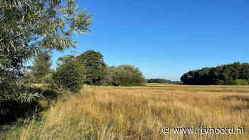 Westerwolde is droog en geel: 'Nu staat zelfs het beekje droog' - RTV Noord