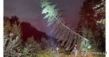 Moncton-area outages leave 50K residents without power, RCMP investigates - Global News