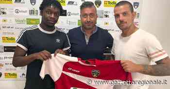 Due nuovi giocatori per la Faul Cimini: Marco Marino e Valente Da Cruz - Gazzetta Regionale