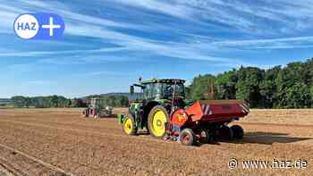 Springe: Kartoffelbranche trifft sich zur Potato Europe auf Gut Bockerode - HAZ