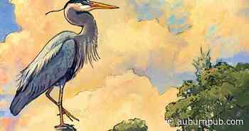 Kuhl: Enjoying Cayuga County's state parks | Lifestyles | auburnpub.com - The Citizen