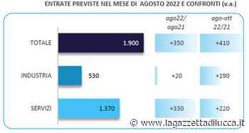 I dati di agosto sulla domanda di lavoro a Lucca, Massa-Carrara e Pisa - La Gazzetta di Lucca