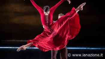 Massa premia la sua Alice “Obelisco“ alla Mariani - LA NAZIONE