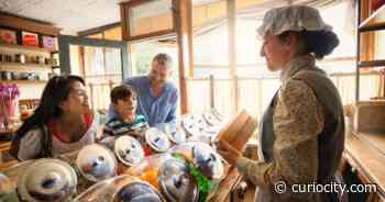 5 reasons why you should visit Calgary’s iconic & most historic park - Curiocity