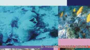 Quando le antiche rotte confluivano su Grado e la sentinella era Aquileia - Il Messaggero Veneto