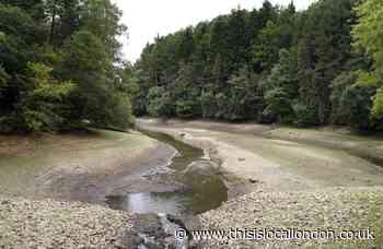 UK drought: What is a drought and what happens if one is declared?