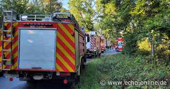 Waldbrand auf dem Muna-Gelände bei Dieburg - Echo Online