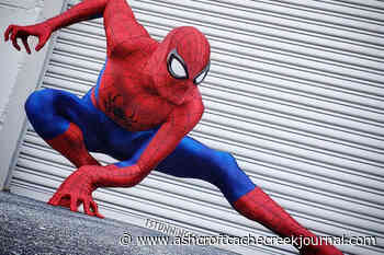 As Spider-Man turns 60, fans reflect on diverse appeal - Ashcroft Cache Creek Journal