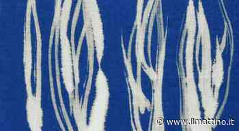 Capri, Franca Pisani in mostra con «Secret Garden» al Museo Cerio - ilmattino.it