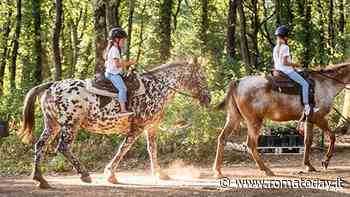 Cosa fare con i bambini sabato 13 e domenica 14 agosto