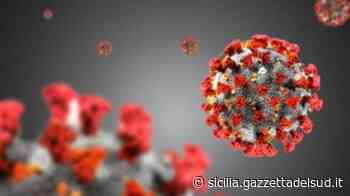 Covid in Sicilia, calano i contagi. A Messina negli ultimi 7 giorni 612 positivi ogni 100mila abitanti - Gazzetta del Sud - Edizione Sicilia