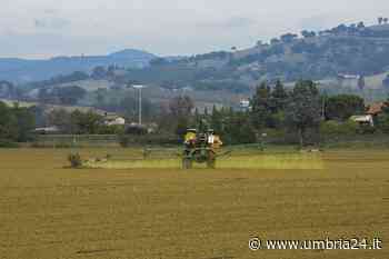 Umbria: in dieci anni hanno chiuso il 25 per cento delle aziende agricole - Umbria 24 News