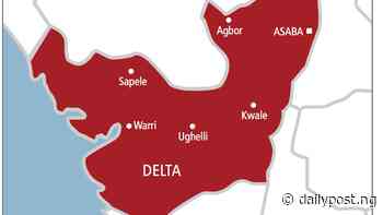 Tension in Delta Community as suspected cultists shoot two Vigilante men dead - Daily Post Nigeria