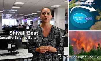 What's causing Europe's extreme summer? How the answer could lie far away over the Atlantic