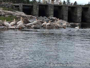 LOTW to drop below 2014 peak this week - DrydenNow.com